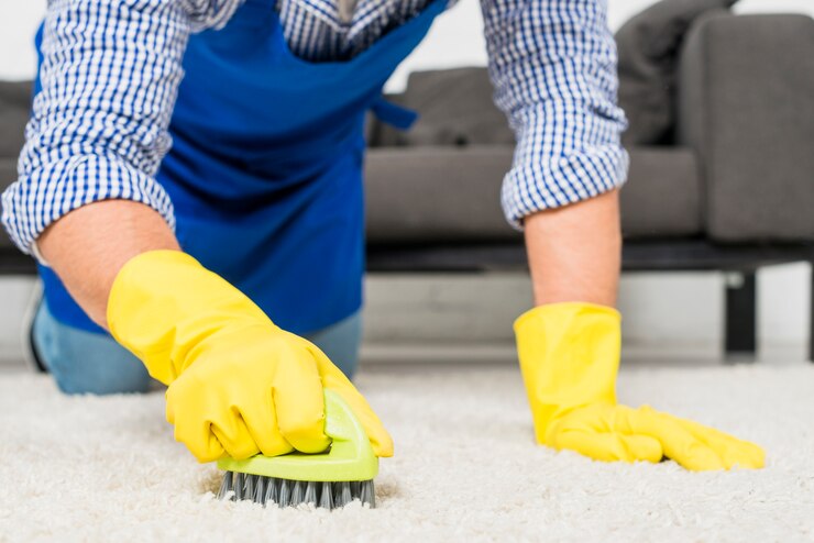 Deep Cleaning of Carpet by using a brush