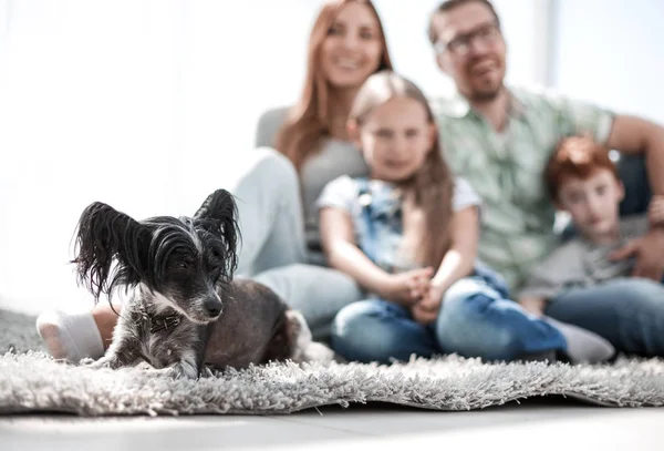 A portrait of happy family with a pet puppy sitting on the carpet.