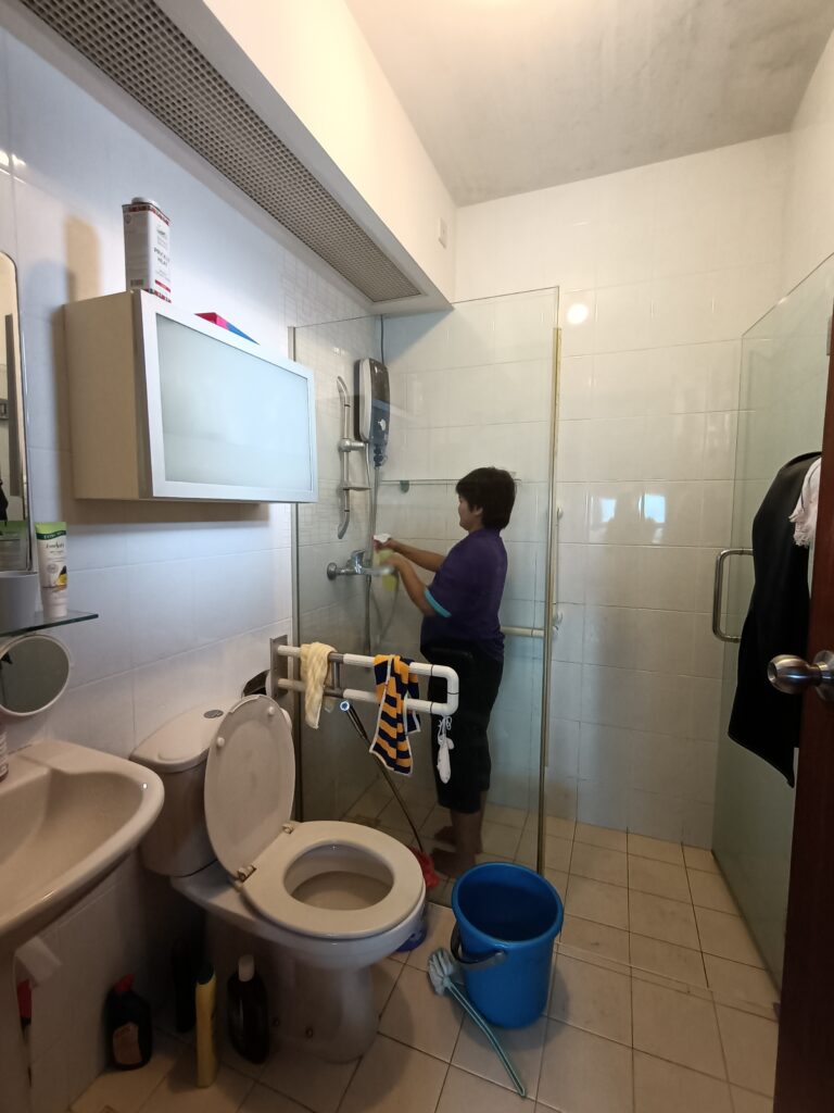 Bathroom cleaning