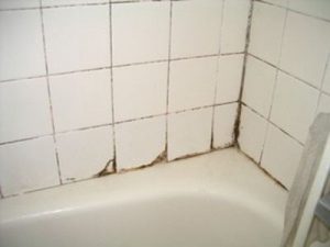 Cleaning Shower Tile Is There A Simple Solution Updated 2018 300x225 1