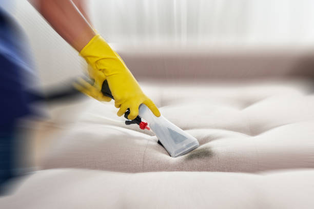 Close-up of hand with vacuum cleaner cleaning sofa with stain.