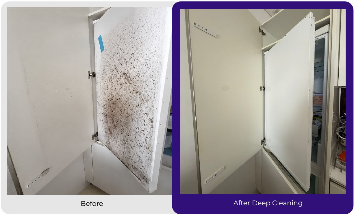 Deep-Cleaning-Before-After