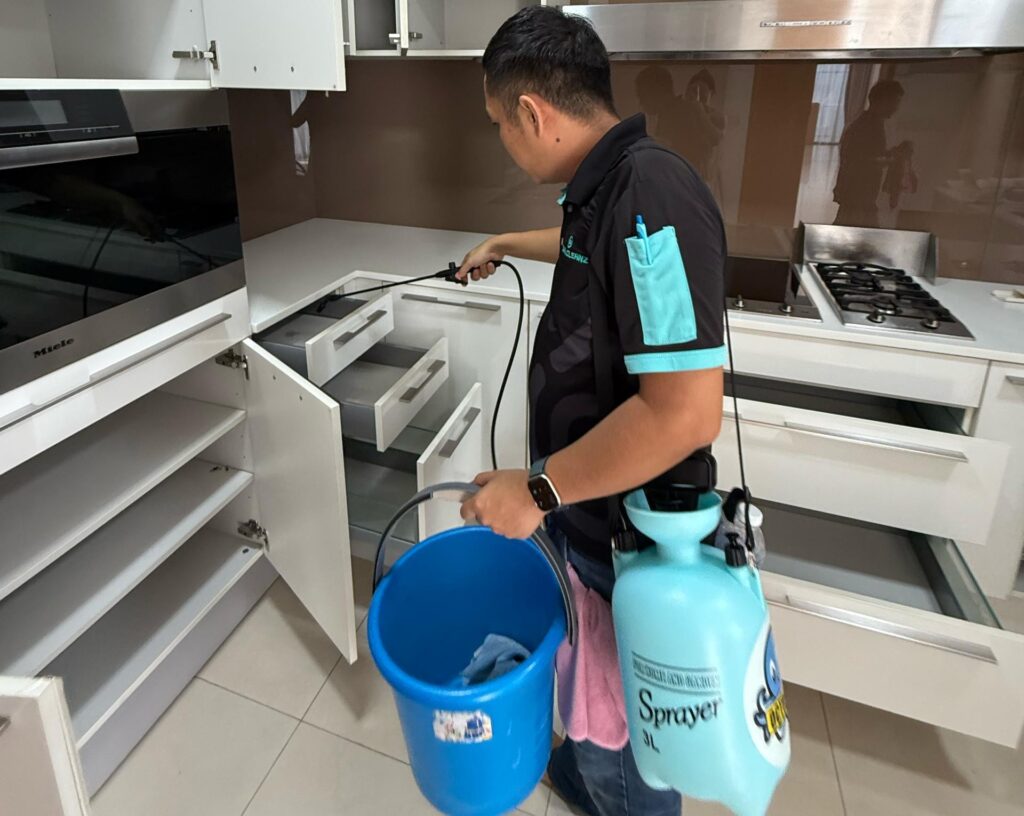Formaldehyde Removal Singapore
