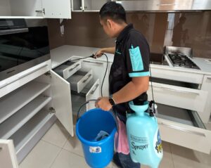 Formaldehyde Removal Singapore