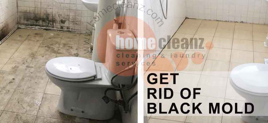 GET RID OF BLACK MOLD