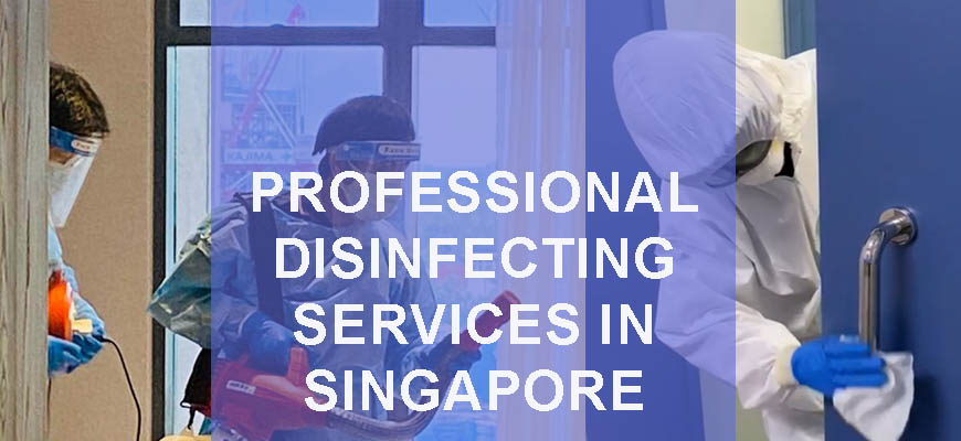 PROFESSIONAL FOGGING SERVICE IN SINGAPORE