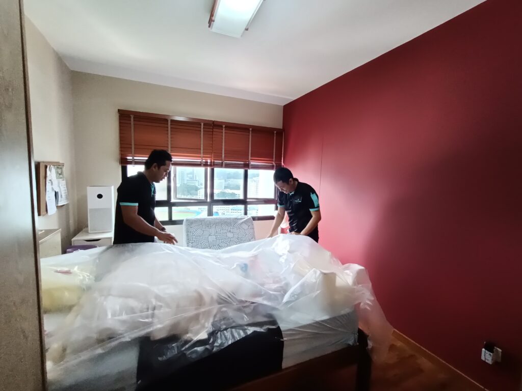Professional Move-Out Cleaning