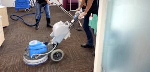carpet cleaning for babys and pet