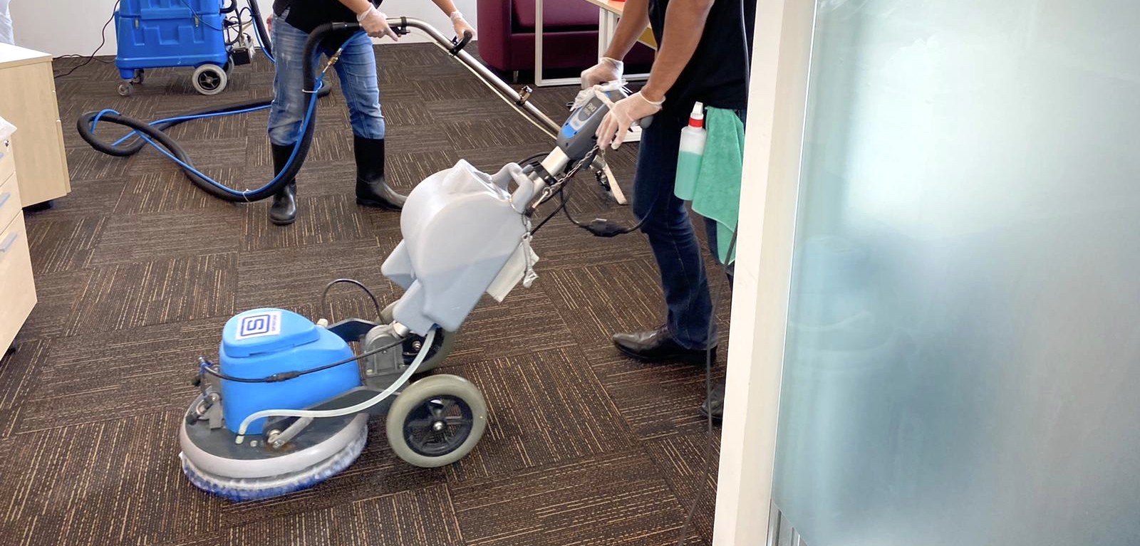carpet cleaning for babys and pet