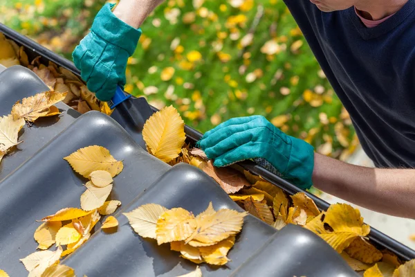 Man cleaning the gutter from autumn leaves.