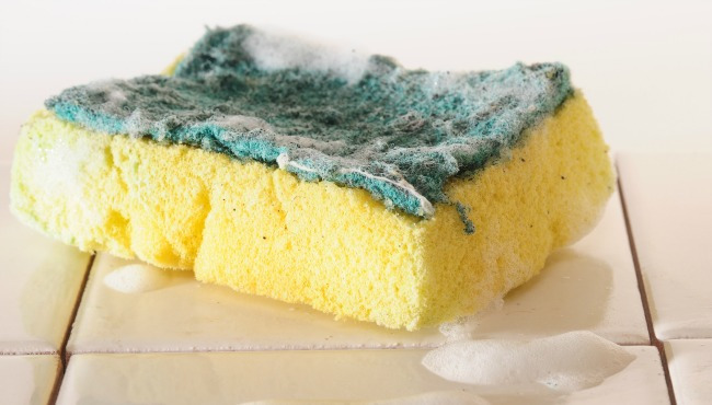 dirty sponge