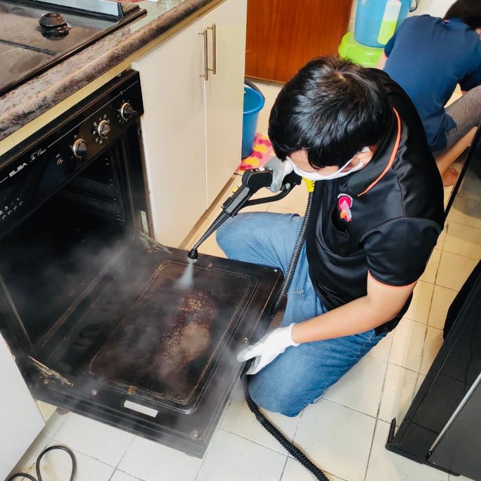 House Appliance Cleaning Power - Total Cleanz