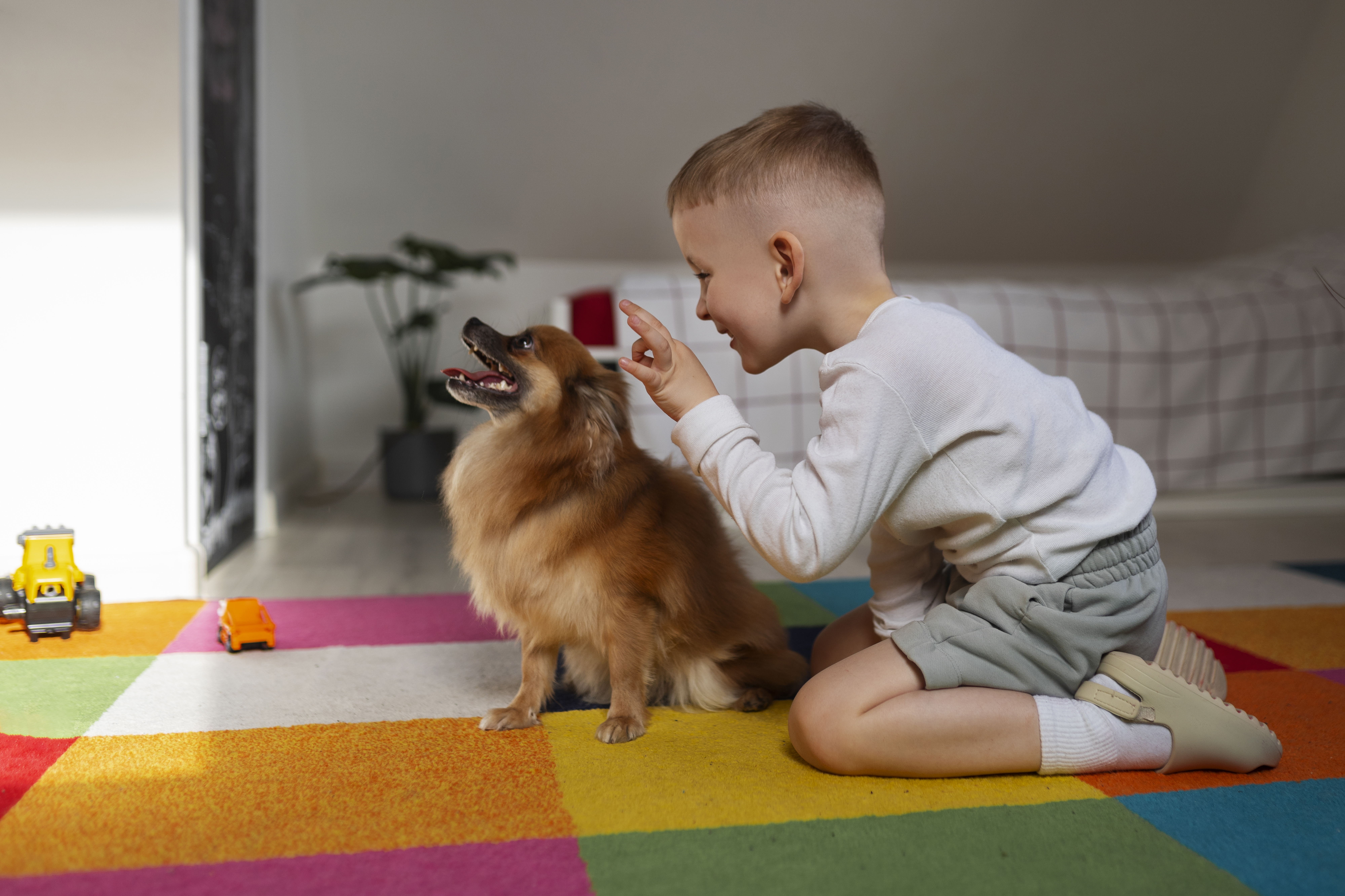 full-shot-boy-playing-with-dog-indoors