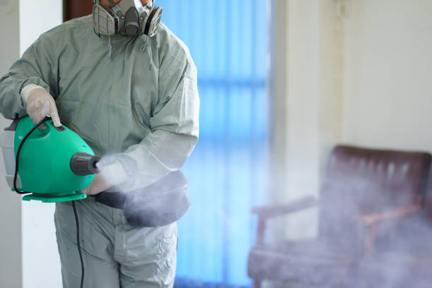 Person in protective gear holding a disinfectant spray, targeting a mist to eliminate germs on a surface.