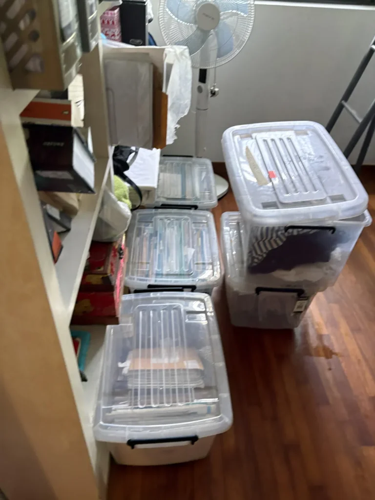 total cleanz decluttering mayfair gardens shelving bins 2