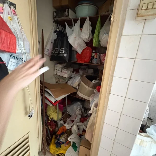 total cleanz decluttering serangoon central closet reach 1