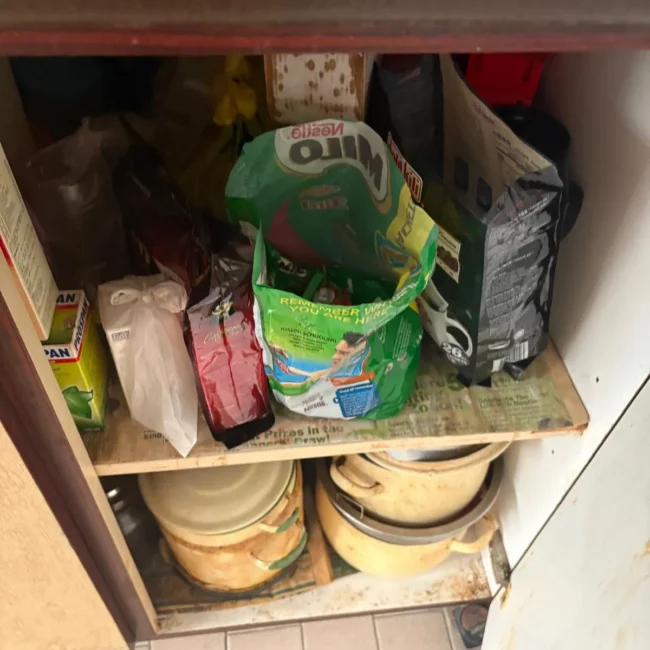 total cleanz decluttering serangoon central dishware shelf 1