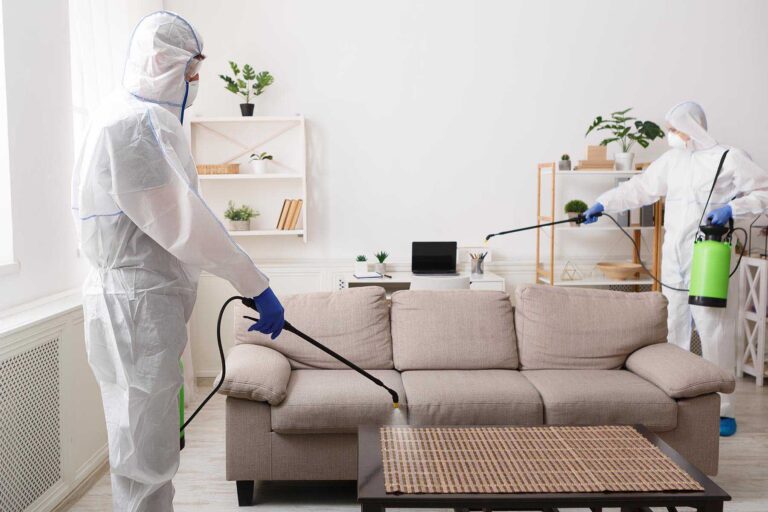 total cleanz home cleaning for flu season disinfection services