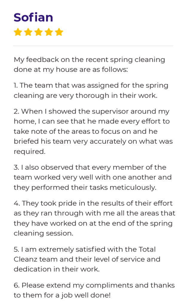 total-cleanz-reviews-spring-cleaning-03