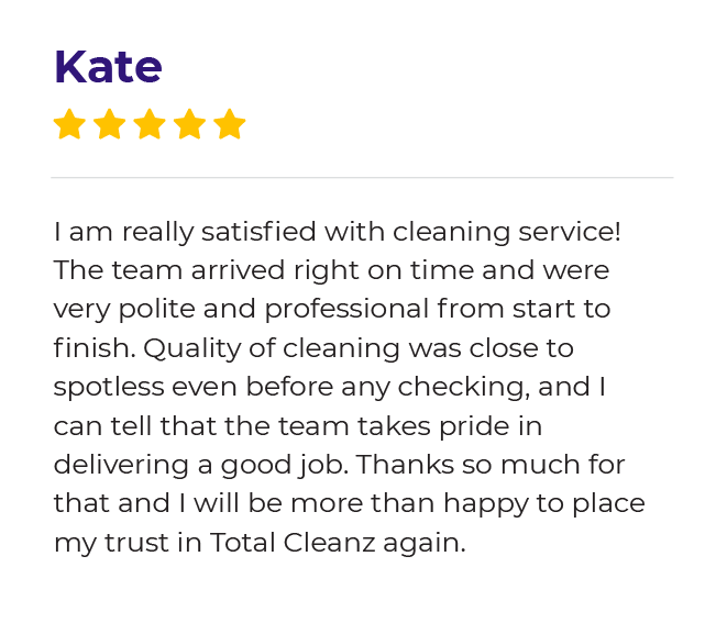 total-cleanz-reviews-upholstery-cleaning-01