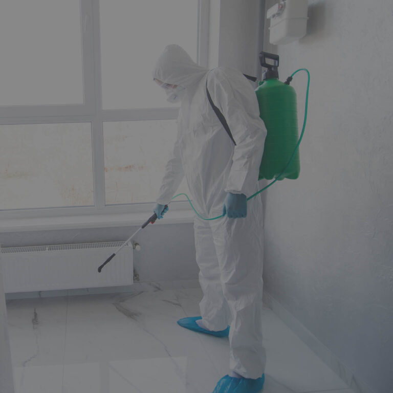 <a href=https://totalcleanz.com/disinfection-fogging/>Disinfection & <br>Fogging </a> 