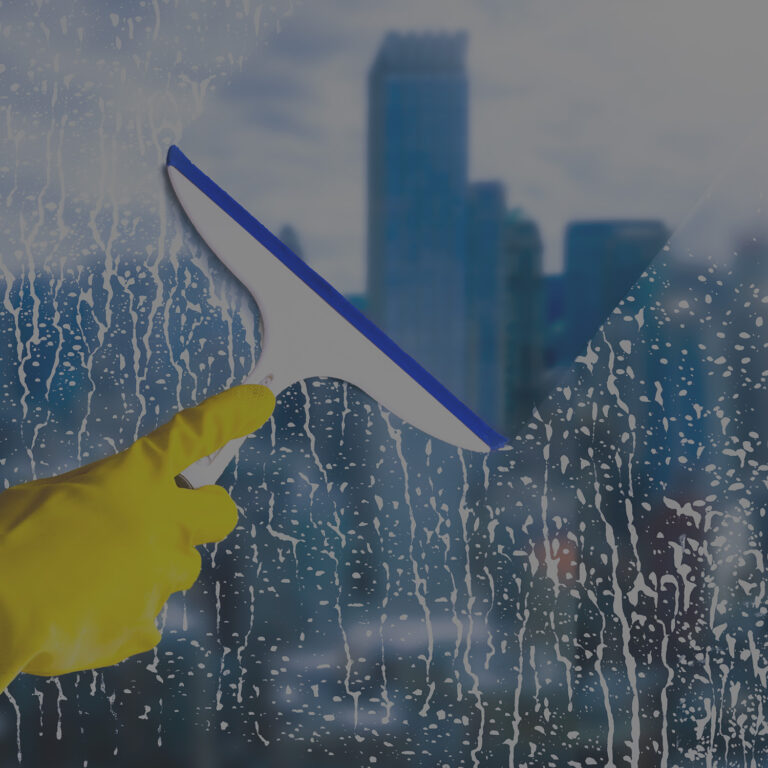 <a href=https://totalcleanz.com/window-cleaning/>Window <br>Cleaning </a>