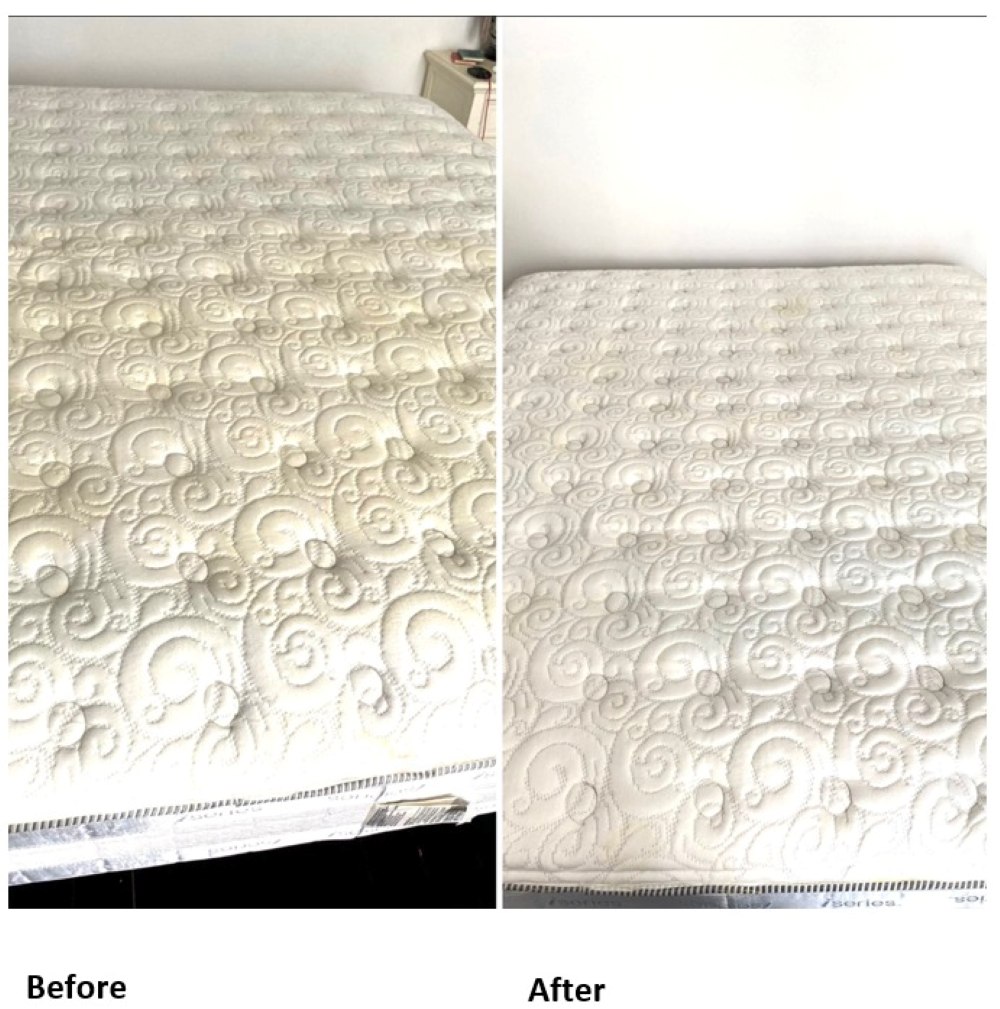 upholstery sofa cleaning before and after
